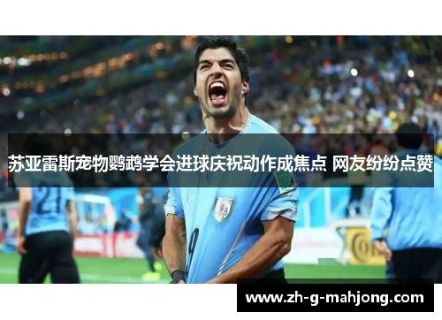 苏亚雷斯宠物鹦鹉学会进球庆祝动作成焦点 网友纷纷点赞